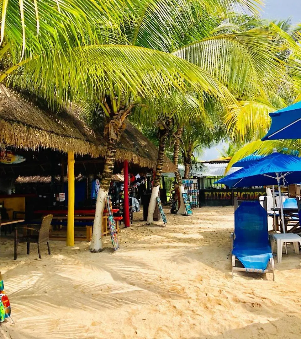 Ocean Beach V.I.P Apartment Cozumel Mexico